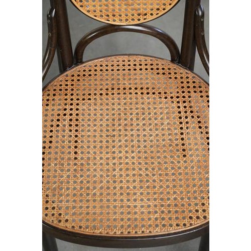 Vintage Long John High Back Bentwood Chairs with Webbing Seats from Thonet, Set of 6 For Sale - Image 11 of 17