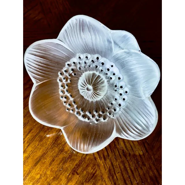 Lalique French Crystal Vintage Hand Sculptured Anemone Flower New 1970s For Sale In San Francisco - Image 6 of 7