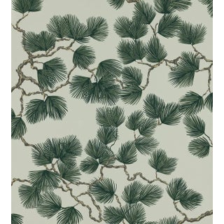 Sandberg for The House of Scalamandré Pine Wallcovering, Green For Sale