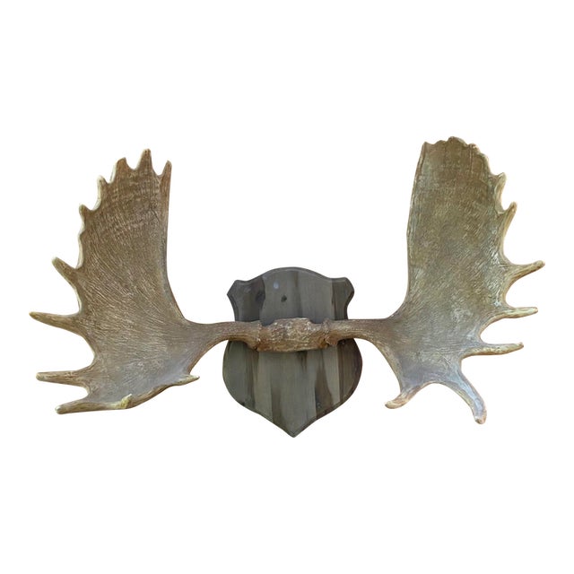 Restoration Hardware Large Faux Moose Antlers Chairish