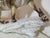 Guido Cacciapuoti, Fox, 1950s, Ceramic For Sale - Image 14 of 16