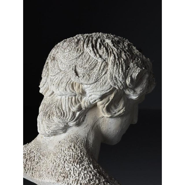 Classical Bust of Antinous, 2000s For Sale - Image 7 of 18