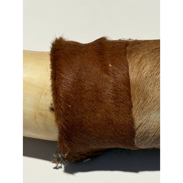 American Rustic Vintage Large Hide-Wrapped Steer Horns For Sale - Image 3 of 11