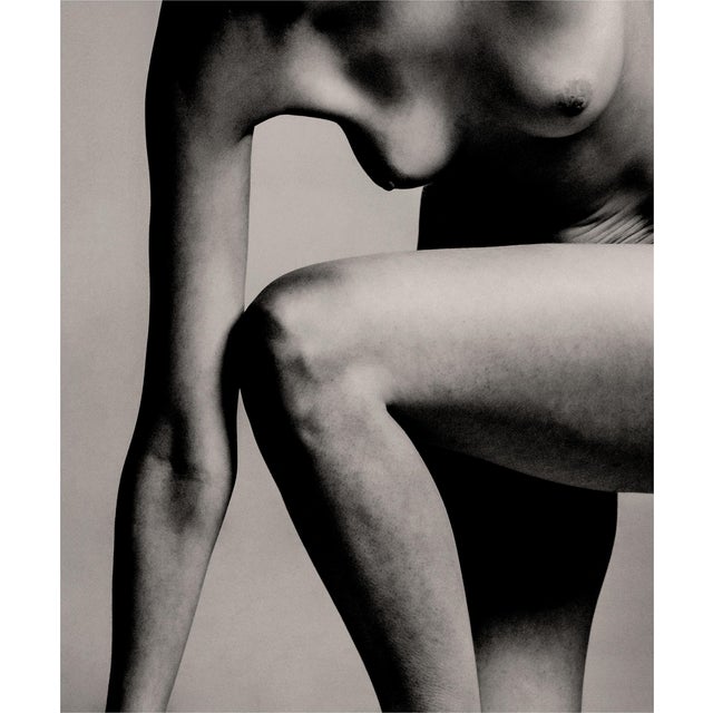 Guy Sargent, Porcelain XV, Archival Pigment Print For Sale