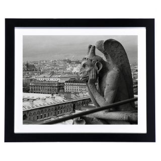 Framed Original Photograph: Gargoyle II For Sale