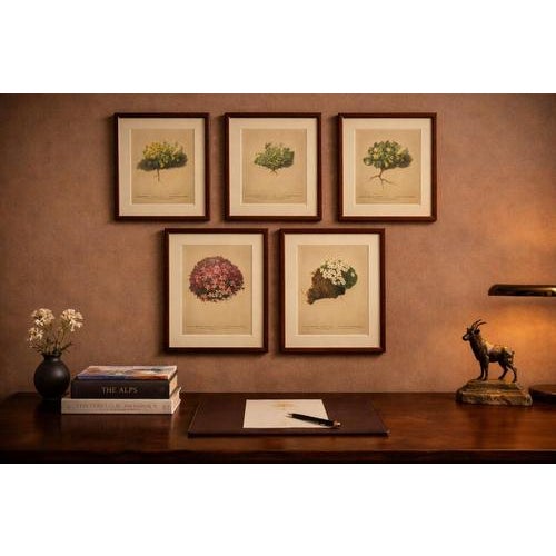 Alpine Botanical Prints Set of 5, Aretia & Douglasia, Antique Chromolithographs A rare and visually refined set of five...