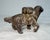 1910s Antique Early 1900's Cast Iron St Bernard Dog Pack Still Coin Bank a.c. Williams For Sale - Image 5 of 10