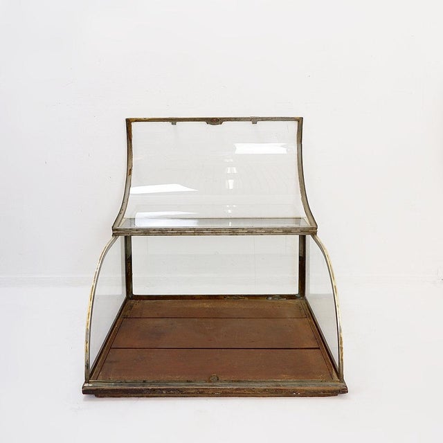 Metal Antique Curved Glass Display Showcase, 1930s For Sale - Image 7 of 16