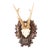 Black Forest Roe Deer Antlers Hunting Trophy 1951 Mount For Sale