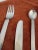 Cutlery Set for 12 by Gio Ponti for Fratelli Calderoni, Italy, 1960s, Set of 54 For Sale - Image 10 of 17