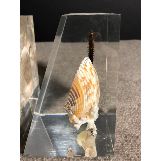 Mid 20th Century Pair Of Whimsical Clear Bookends With Seashells And Seahorse For Sale - Image 10 of 12