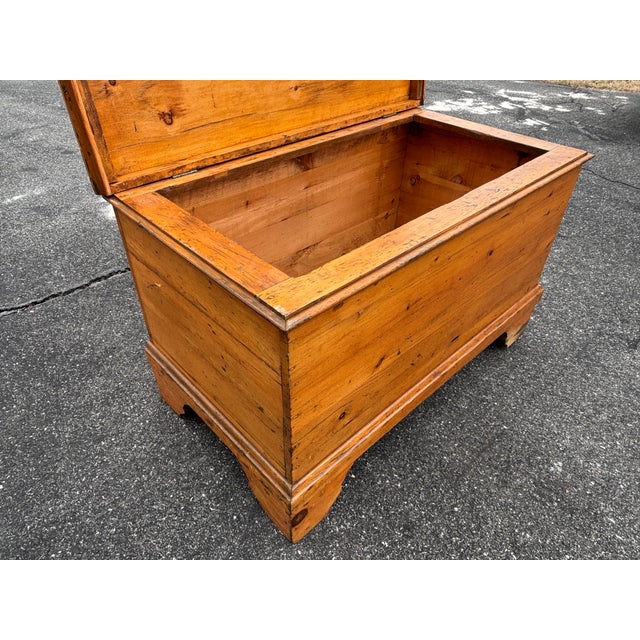 Wood 19th C. Highly Detailed English Pine Blanket Chest For Sale - Image 7 of 13