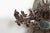 Early 20th Century Black Forest 1900s Carved Wooden Plaque with Chamois Motif, Foliage and Mirror For Sale - Image 5 of 10