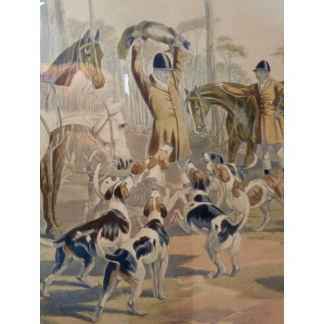 This is 19th century lithograph of fox hunting "The Death". It is mounted in a solid walnut frame with gold trim with...