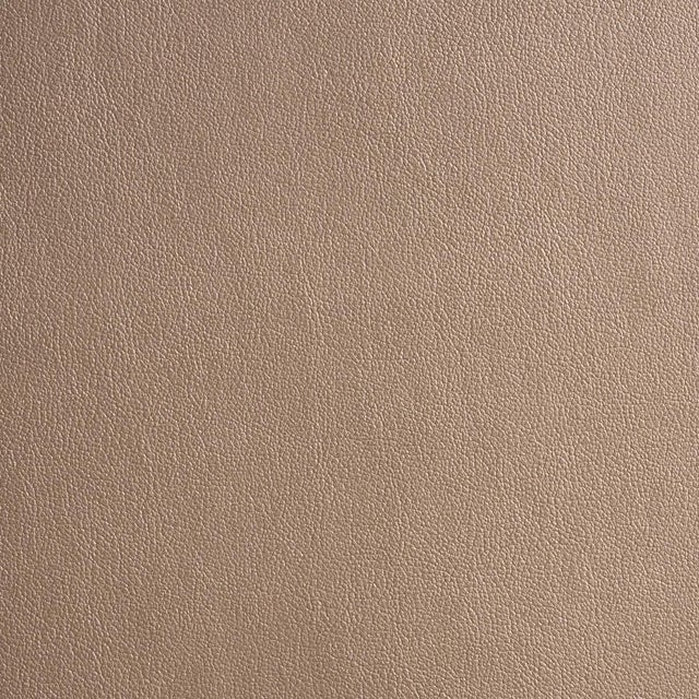 2020s Schumacher Metallic Vegan Leather Outdoor Fabric In Dune For Sale - Image 5 of 5