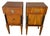 Burnt Umber Assembled Pair of 19th Century Italian Neoclassical Walnut Bedside Cabinets For Sale - Image 8 of 9