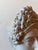 Classical Grand Tour Style Vintage Bust, a Head of a Roman Noble Woman For Sale In Palm Springs - Image 6 of 13