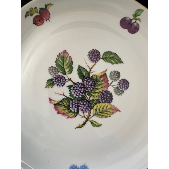 Mid-Century Modern Vintage Naaman Israel Fruit Motif Porcelain China Dinner Plate 11" For Sale - Image 3 of 6