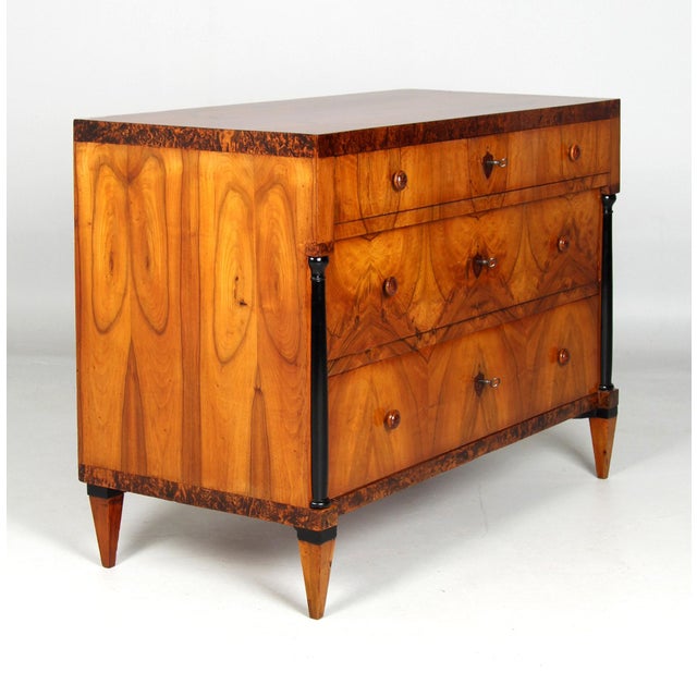 Biedermeier Chest of Drawers, 1820s For Sale - Image 3 of 14