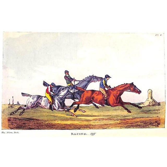 "National Sports of Great Britain" 1903 Alken, Henry For Sale - Image 11 of 12