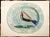 Cornflower Blue 1950 Set of 8 Vintage Prints of Picasso's Ceramic Platters From Switzerland For Sale - Image 8 of 18