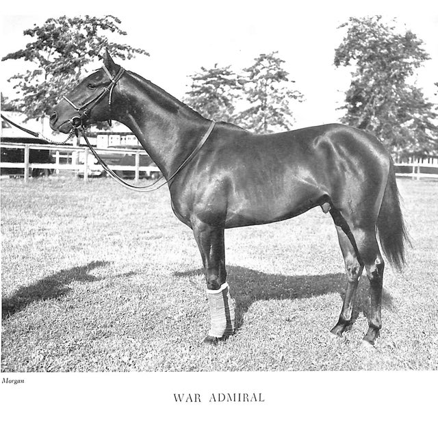 "Racing in America 1937-1959" 1960 Kelley, Robert F. For Sale - Image 9 of 13