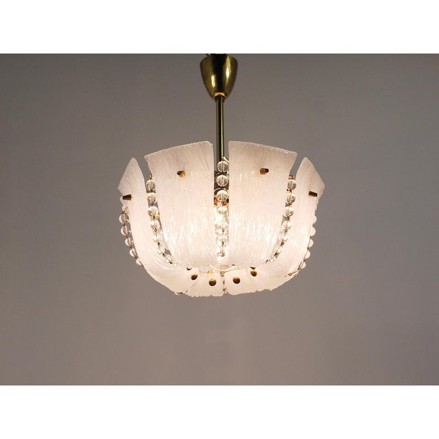 Petite Curved Basket Chandelier in Brass & Glass attributed to J. T. Kalmar for Kalmar, Austria, 1950s For Sale - Image 12 of 18