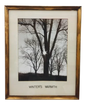 Vintage Giltwood Frame Photograph