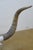 Late 20th Century Western Southwestern Longhorn Cow Bull Steer Skull Horns Taxidermy 26" For Sale - Image 5 of 16
