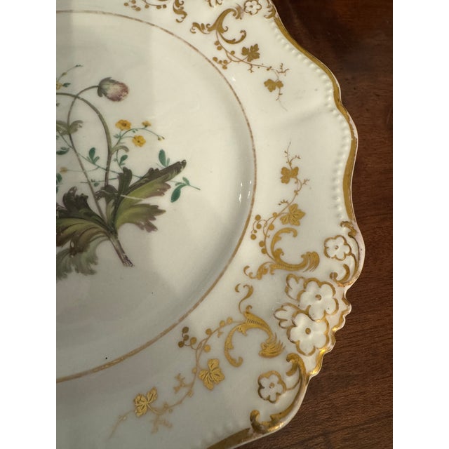 Early 19th Century English Botanical Porcelain Plate For Sale In Pittsburgh - Image 6 of 9