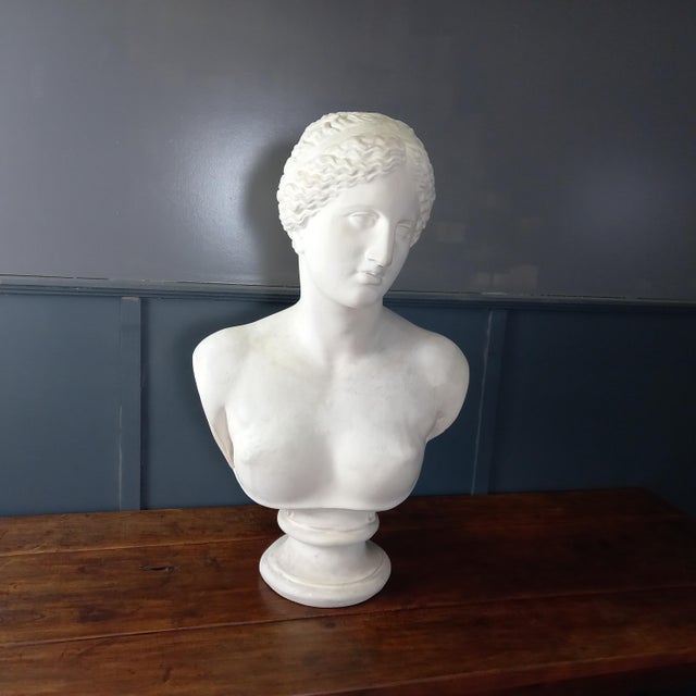 Large Nude Bust of Venus, 1950s For Sale - Image 15 of 15