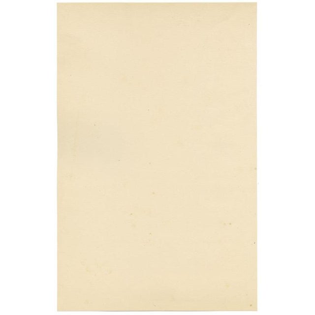 E.B.R. Passion Flower (Passiflora), 1800s, Paper For Sale - Image 6 of 7