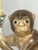 Petite monkey holds a tobacco leaf candle stick lamp. Monkey is perched on a black wooden chinoiserie base. Brown monkey...