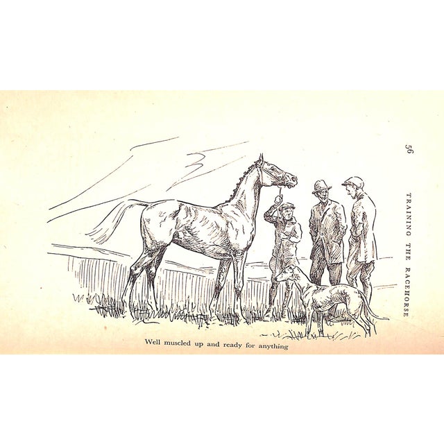 Paper "Training the Racehorse" Stewart, Lt.-Col. p.d. For Sale - Image 7 of 12