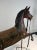 Antique Carved Turn of the Century Carousel Horse For Sale - Image 4 of 11