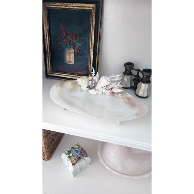 A refined coastal decorative object handcrafted in Connecticut using a naturally polished pearl oyster half shell elevated...