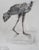 Caesar, Hen on the Move, 1980, Lithograph For Sale - Image 8 of 9