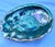 Turquoise Large Mid 20th Century Red Abalone Shell, Haliotis Rufescens For Sale - Image 8 of 13