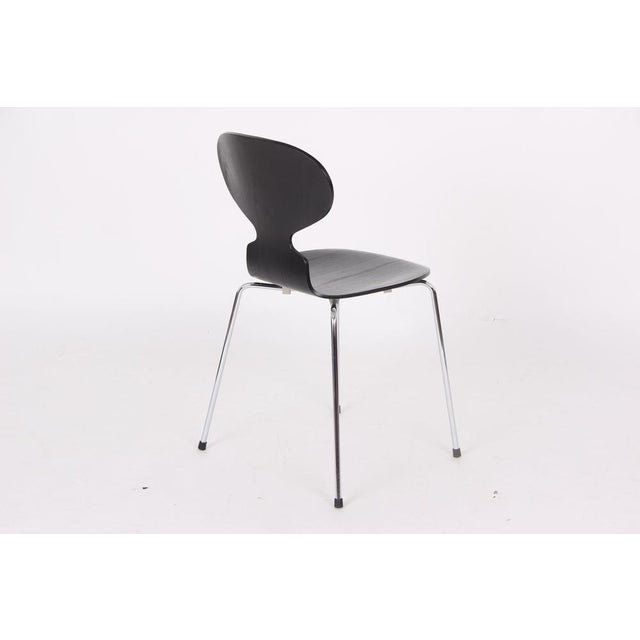 Model 3101 Chairs by Arne Jacobsen for Fritz Hansen, Denmark, 2004, Set of 4 For Sale - Image 3 of 14