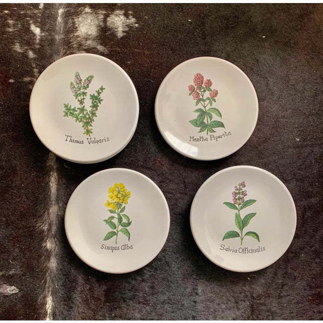 Ceramic Vintage Italian Salad Plates in Four Assorted Herb Patterns- Set of 6 For Sale - Image 7 of 7