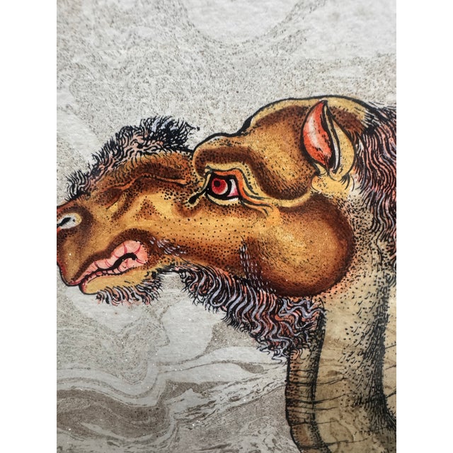 Metal Artist-Signed Mid-Century Animal Paintings in Heavy Hand-Painted Tole Frames, Set of Four For Sale - Image 7 of 12