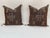 Burnt Umber Cactus Sabra Silk Pillow Cover For Sale - Image 8 of 9