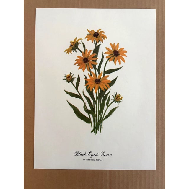 Up for sale is this charming print from an original painting by noted artist Mary Vaux Walcott (1860-1940), matted in an...