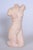 This impressive sculpture of a female torso dates back to the 1940s and is made of patinated plaster, which lends it a...