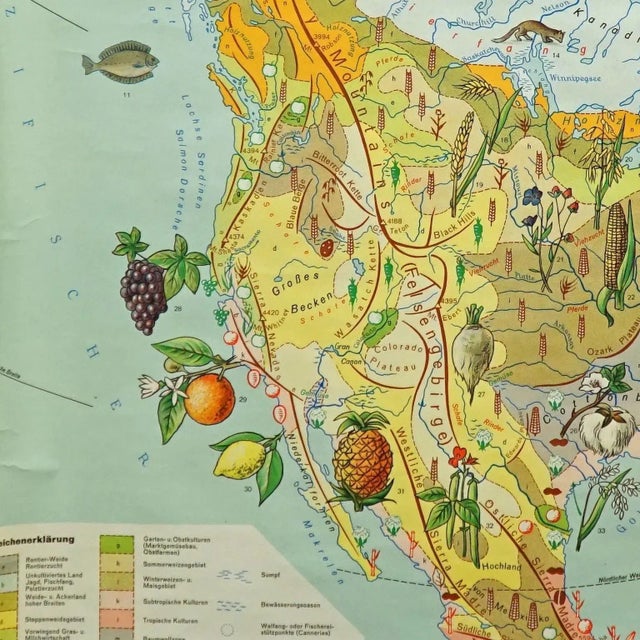 North America Land Use and Livestock Picture Map, 1970s For Sale - Image 4 of 7