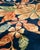 Antique Chinese Art Deco Rug 12ft X 19ft 3in For Sale - Image 4 of 16