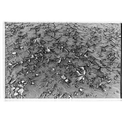 This photograph Tre Archi_09_2021 was taken by the Italian photographer Serena Zeppilli. It is part of the series "Tre...