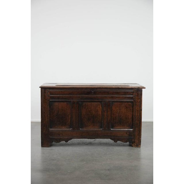 Large Antique English Panelled Oak Chest, 18th Century For Sale - Image 3 of 16