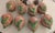 "Set of 8 Vietri Italy Faux Bois Coconut Lidded Boxes, Fern Leaf, Palm Beach" For Sale - Image 11 of 11