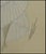 Art Deco Early 20th Century Sombrassable You, Erté For Sale - Image 3 of 6